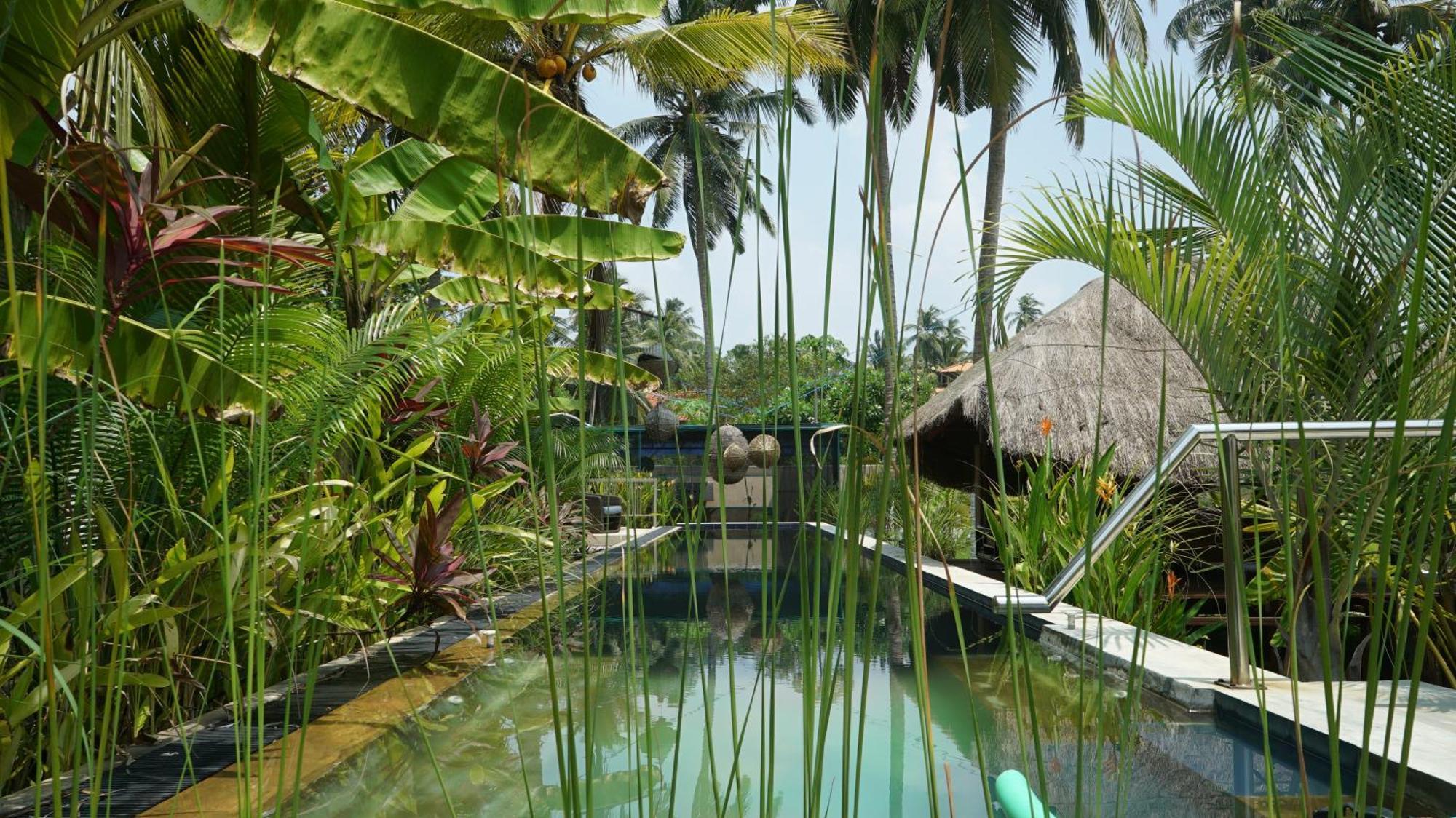 Red Coconut Villa Bentota Bagian luar foto