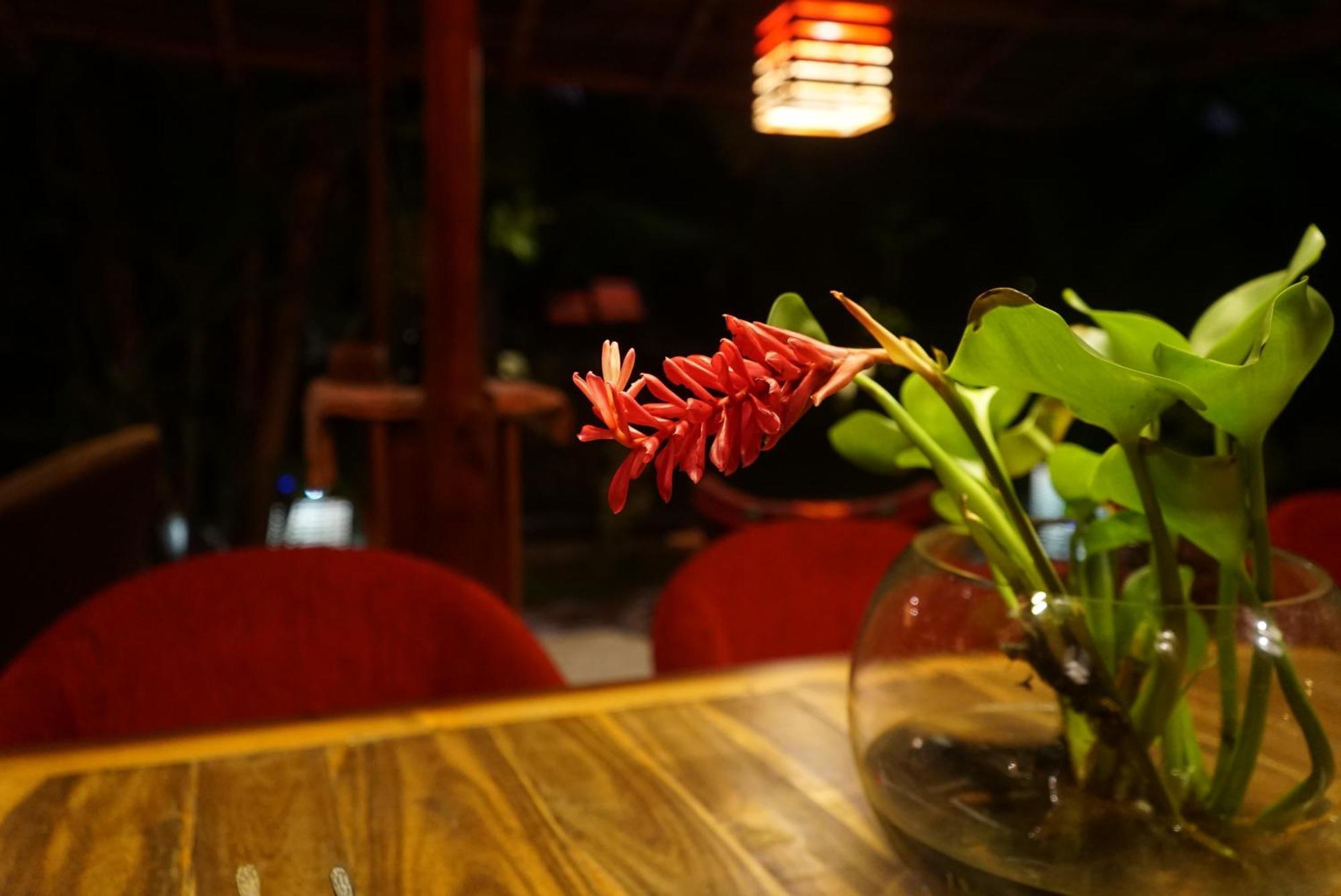 Red Coconut Villa Bentota Bagian luar foto